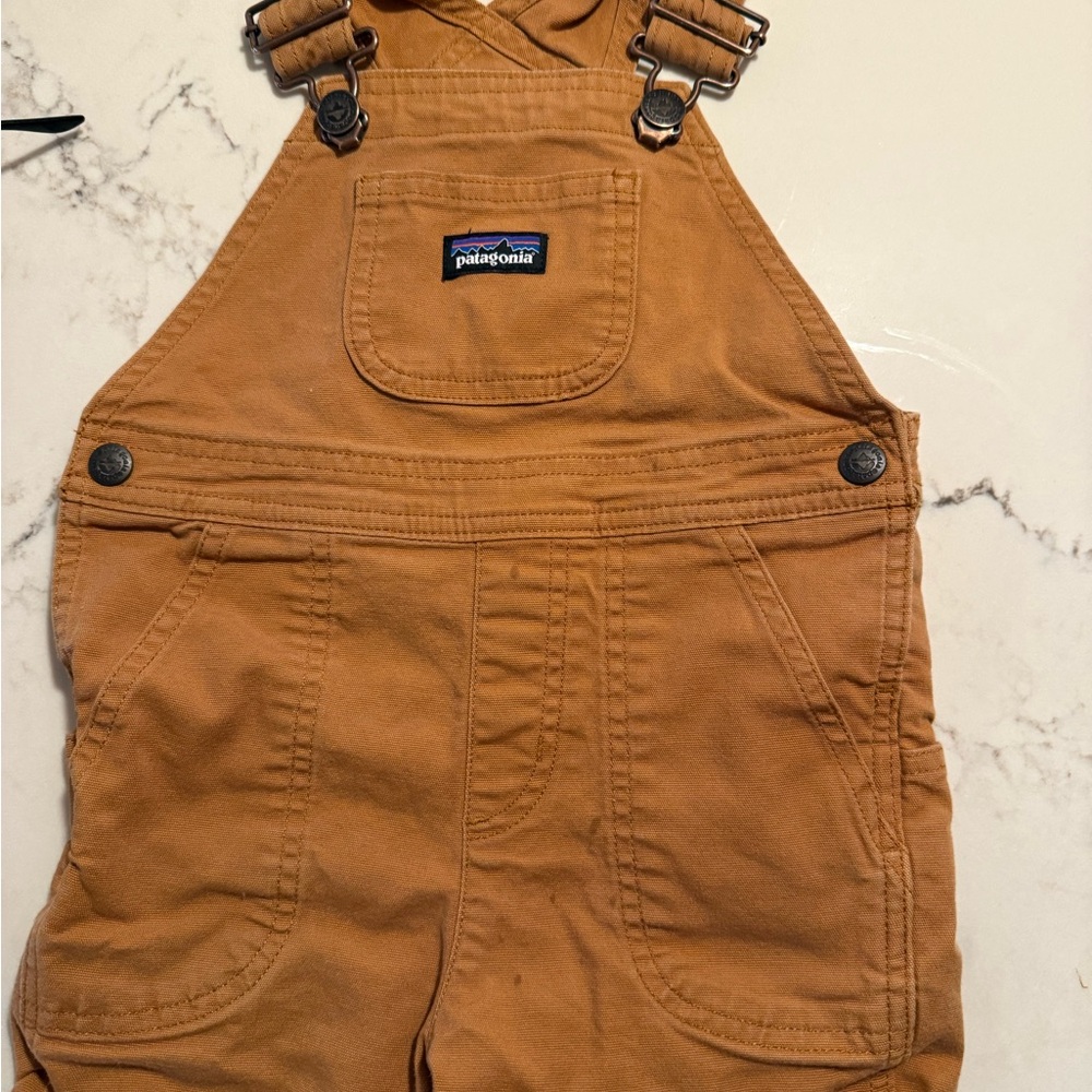 Patagonia Stand Up Shortalls